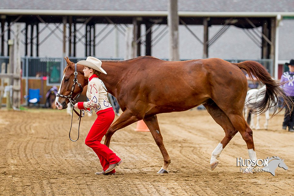 4H-FUN-060416-0175.jpg