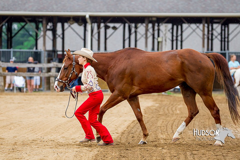 4H-FUN-060416-0176.jpg
