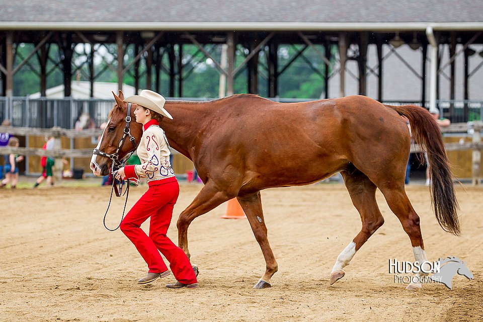 4H-FUN-060416-0177.jpg