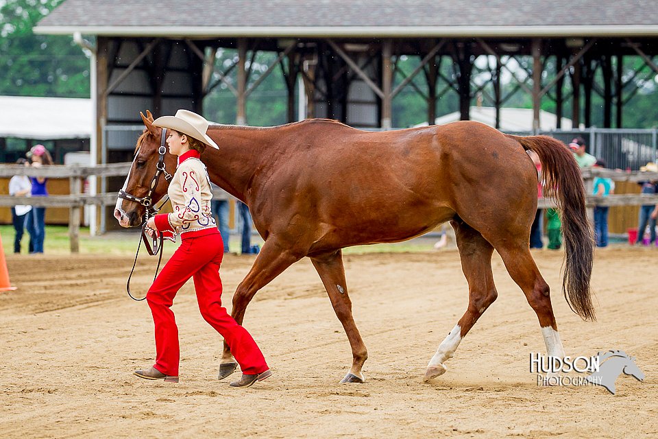 4H-FUN-060416-0178.jpg