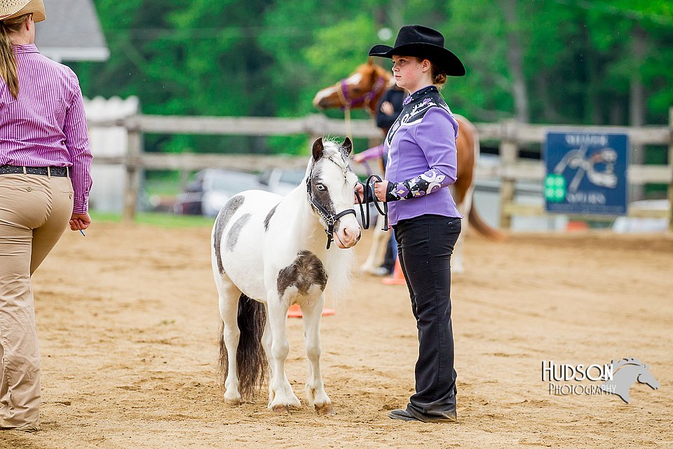 4H-FUN-060416-0187.jpg