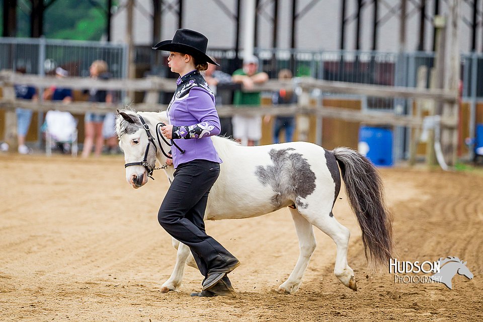 4H-FUN-060416-0189.jpg