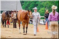 4H-FUN-060416-0133.jpg