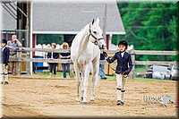 4H-FUN-060416-0200.jpg