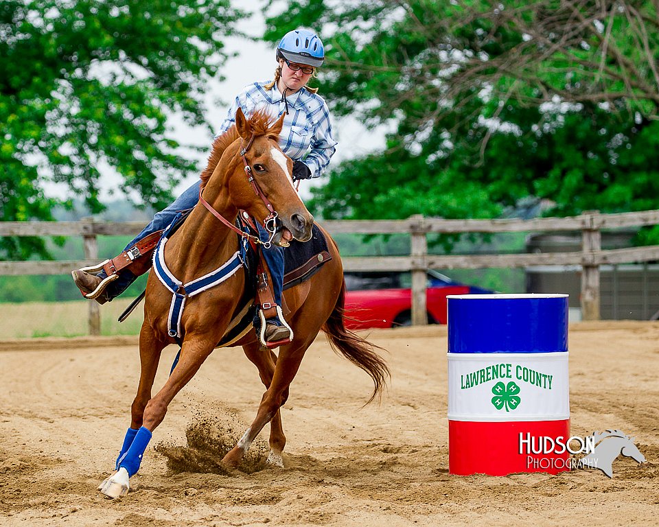 4H-FUN-060416-0265.jpg