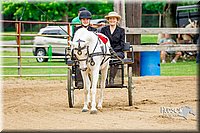 4H-FUN-060416-0367.jpg