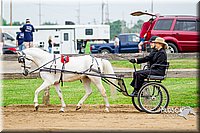 4H-FUN-060416-0382.jpg