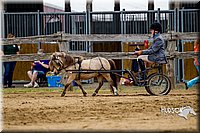 4H-FUN-060416-0397.jpg