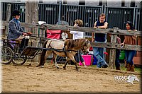 4H-FUN-060416-0406.jpg