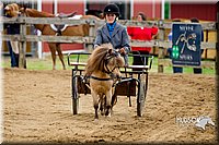 4H-FUN-060416-0407.jpg