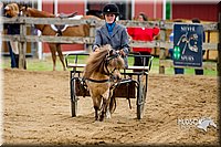 4H-FUN-060416-0408.jpg