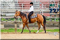 4H-FUN-060416-0448.jpg