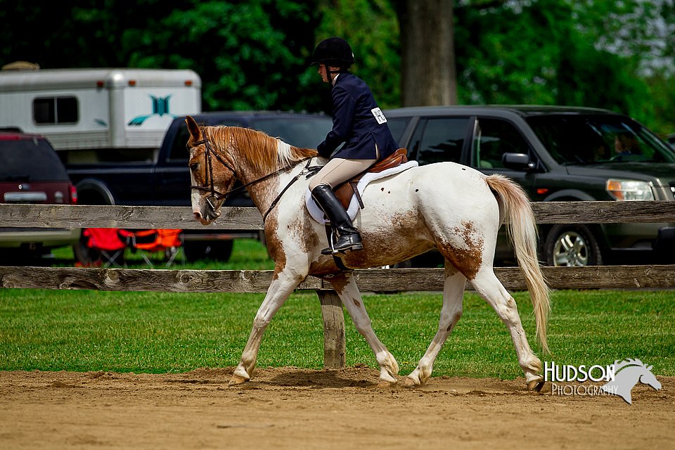 4H-FUN-060416-0555.jpg