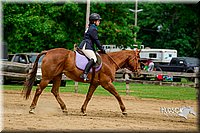 4H-FUN-060416-0578.jpg