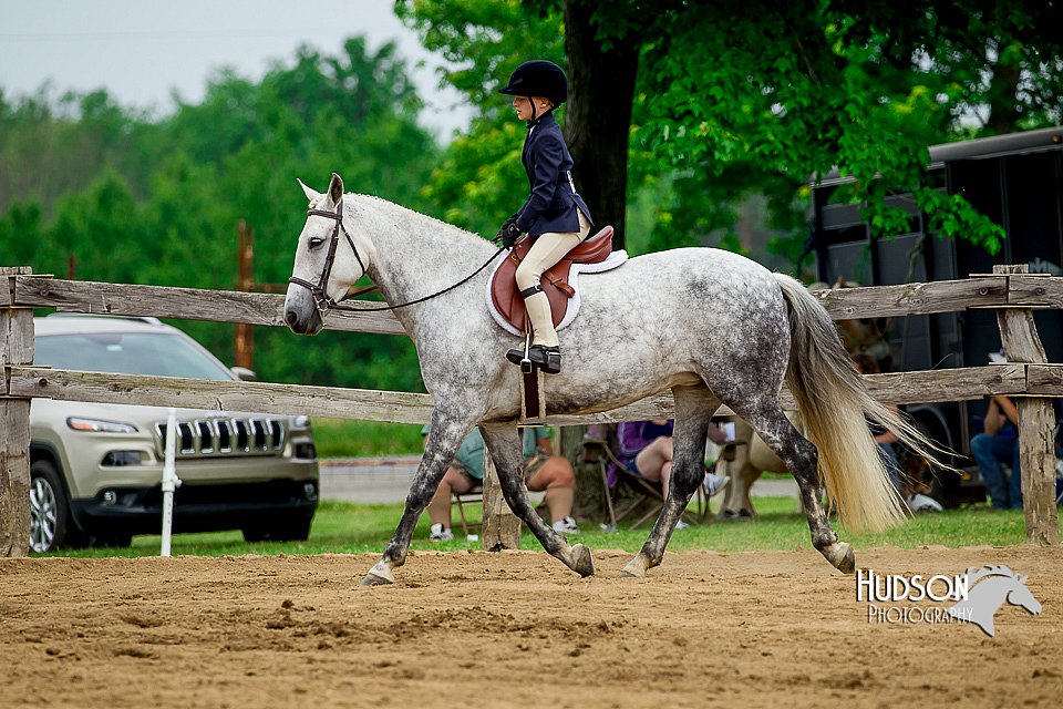 4H-FUN-060416-0597.jpg