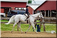 4H-FUN-060416-0613.jpg