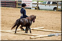 4H-FUN-060416-0841.jpg