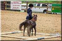 4H-FUN-060416-0842.jpg