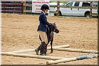 4H-FUN-060416-0843.jpg