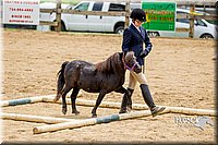 4H-FUN-060416-0844.jpg