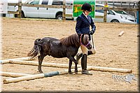 4H-FUN-060416-0845.jpg