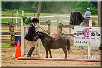 4H-FUN-060416-0847.jpg