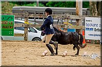 4H-FUN-060416-0853.jpg