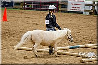 4H-FUN-060416-0856.jpg