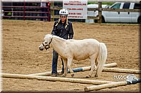 4H-FUN-060416-0857.jpg