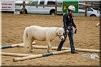 4H-FUN-060416-0859.jpg