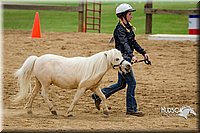 4H-FUN-060416-0863.jpg