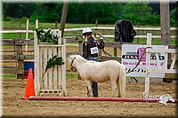 4H-FUN-060416-0866.jpg