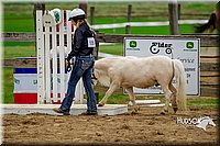 4H-FUN-060416-0867.jpg