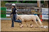 4H-FUN-060416-0871.jpg