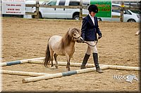 4H-FUN-060416-0875.jpg