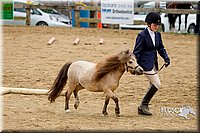 4H-FUN-060416-0879.jpg