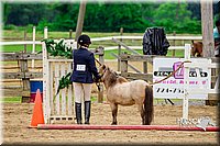 4H-FUN-060416-0881.jpg