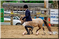 4H-FUN-060416-0885.jpg