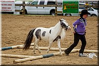 4H-FUN-060416-0888.jpg