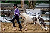 4H-FUN-060416-0897.jpg