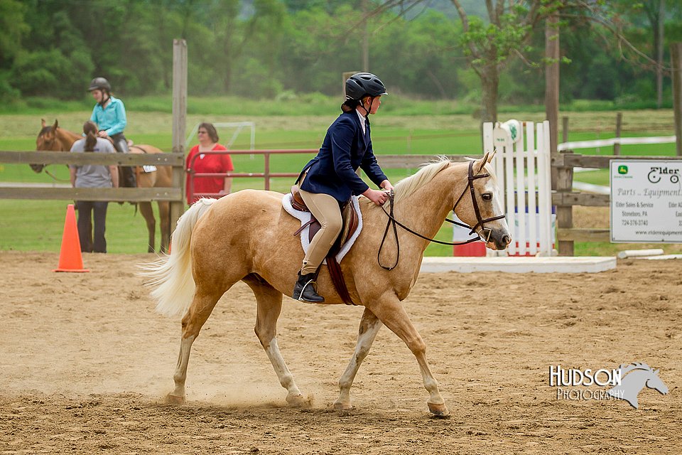 4H-FUN-060416-0947.jpg