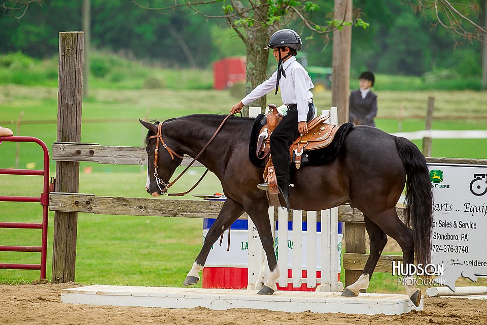 4H-FUN-060416-0983.jpg