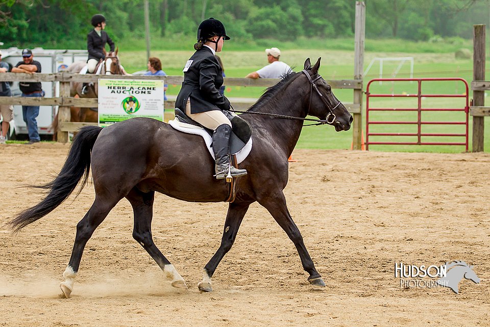 4H-FUN-060416-1040.jpg