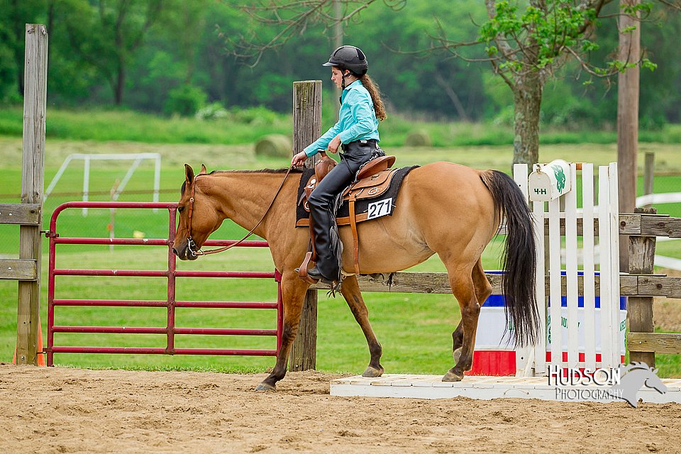 4H-FUN-060416-1100.jpg