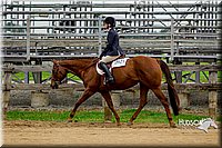 21. Breed Type HUS Horse - Jr. Rider