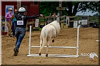 29. Mini Horse Jumping