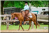 36. Western Pleasure Pony