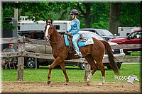 37. Western Pleasure Horse - Jr. Rider