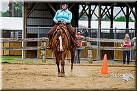 47. Western Horsemanship - Sr. Rider