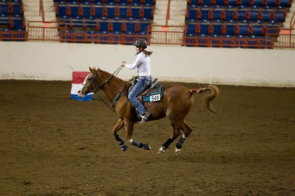 4H-State-2016-0113.jpg